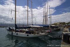 Nigel_Pert Nigel_Pert