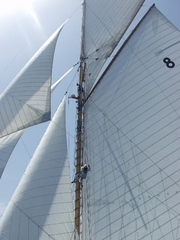 regates_imperiales_2009_bateaux_5.jpg regates_imperiales_2009_bateaux_5.jpg